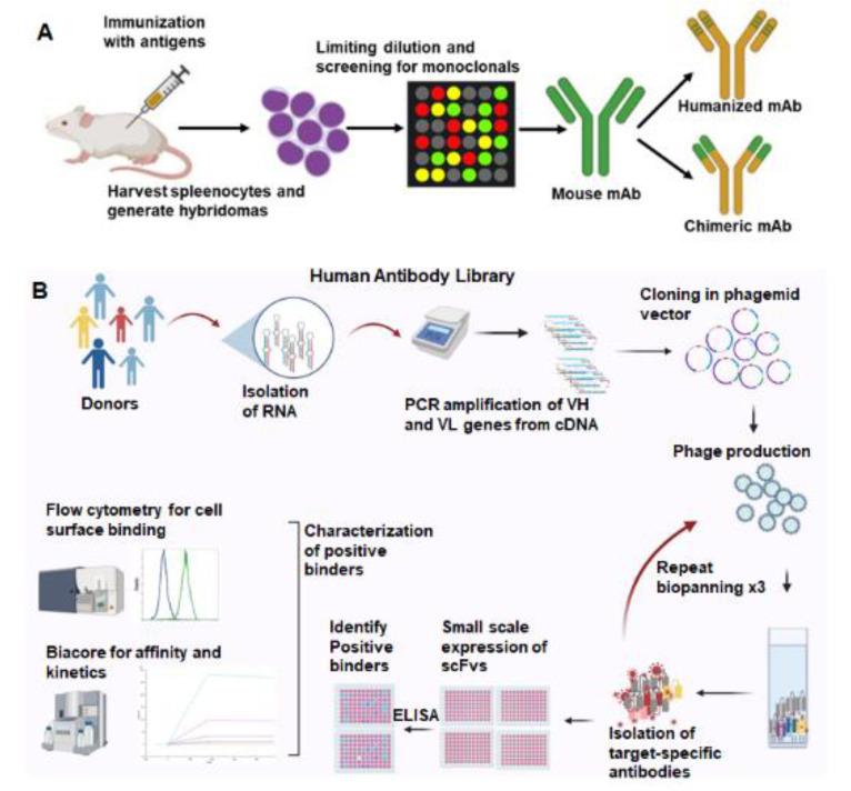 https://cdn.ncbi.nlm.nih.gov/pmc/blobs/d625/8953554/d5a3fd268ef9/ijms-23-03041-g001.jpg