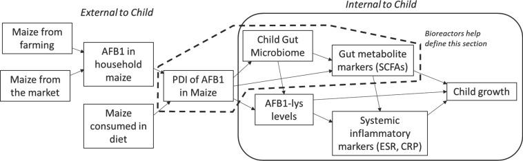 https://cdn.ncbi.nlm.nih.gov/pmc/blobs/d627/10124301/1779e84689e6/bmjpo-2023-001960f02.jpg