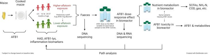https://cdn.ncbi.nlm.nih.gov/pmc/blobs/d627/10124301/1d8730d7bd31/bmjpo-2023-001960f01.jpg