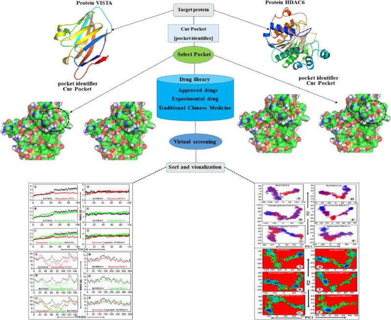 https://cdn.ncbi.nlm.nih.gov/pmc/blobs/d627/10475047/4f59d72bdb67/41598_2023_41325_Fig2_HTML.jpg