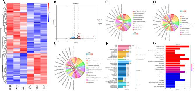 https://cdn.ncbi.nlm.nih.gov/pmc/blobs/d627/11577645/2691f62806b1/12864_2024_10928_Fig4_HTML.jpg
