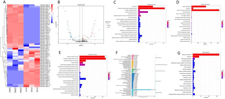 https://cdn.ncbi.nlm.nih.gov/pmc/blobs/d627/11577645/8d699059d660/12864_2024_10928_Fig8_HTML.jpg