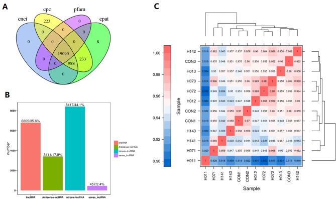 https://cdn.ncbi.nlm.nih.gov/pmc/blobs/d627/11577645/d51bfd32fe78/12864_2024_10928_Fig2_HTML.jpg