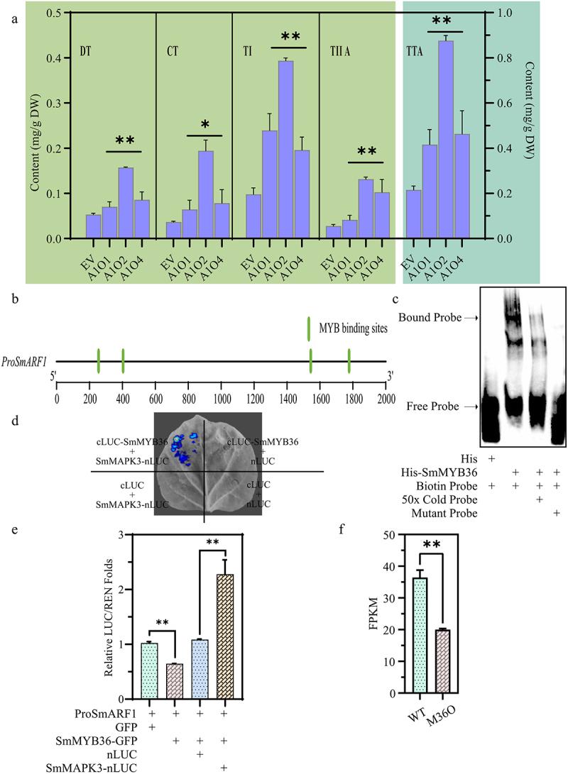 https://cdn.ncbi.nlm.nih.gov/pmc/blobs/d628/11328878/87f9af25f7ff/KPSB_A_2391659_F0001_OC.jpg