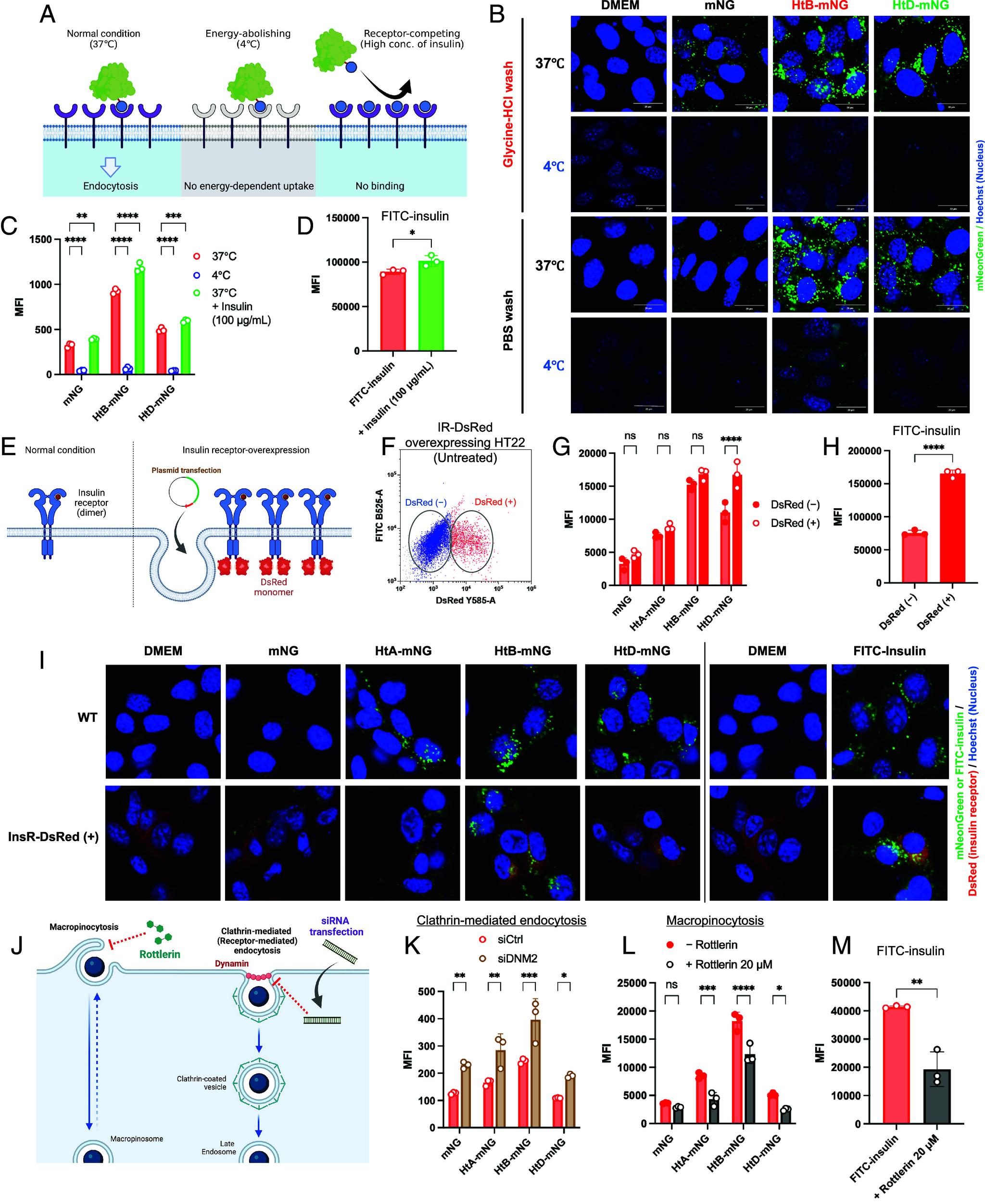 https://cdn.ncbi.nlm.nih.gov/pmc/blobs/d628/11474037/20c843e853b3/pnas.2407936121fig05.jpg