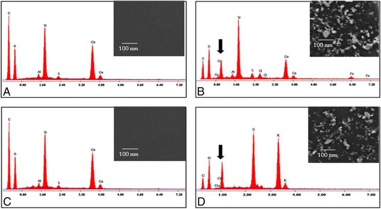 https://cdn.ncbi.nlm.nih.gov/pmc/blobs/d629/4940715/6eaacad937cd/12866_2016_766_Fig3_HTML.jpg