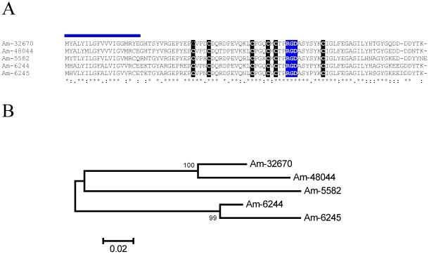 https://cdn.ncbi.nlm.nih.gov/pmc/blobs/d62e/3244413/29c9315031e7/pone.0028525.g006.jpg
