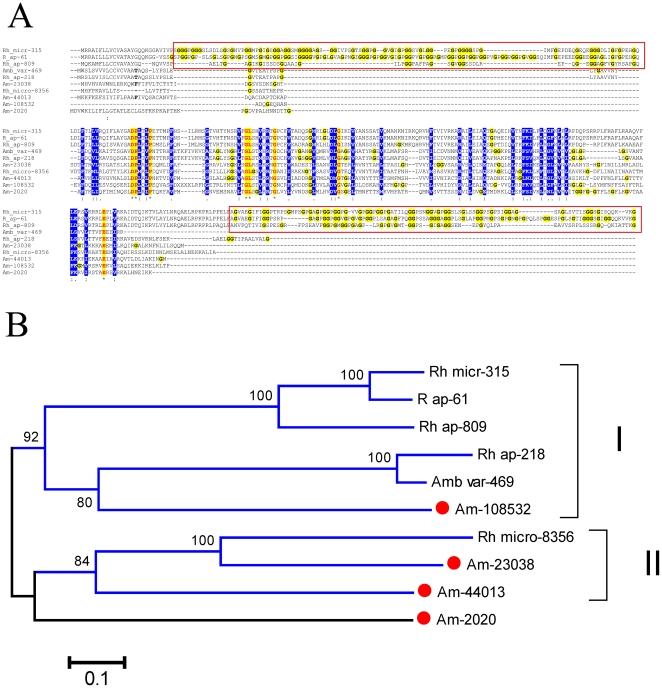 https://cdn.ncbi.nlm.nih.gov/pmc/blobs/d62e/3244413/c1fc7e4f0a3a/pone.0028525.g011.jpg