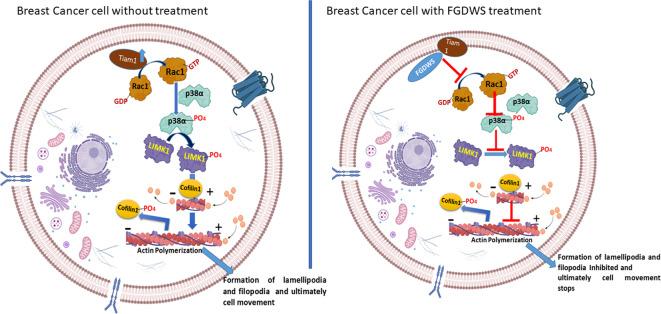 https://cdn.ncbi.nlm.nih.gov/pmc/blobs/d62f/11500341/bdc41031b026/41598_2024_75351_Fig5_HTML.jpg