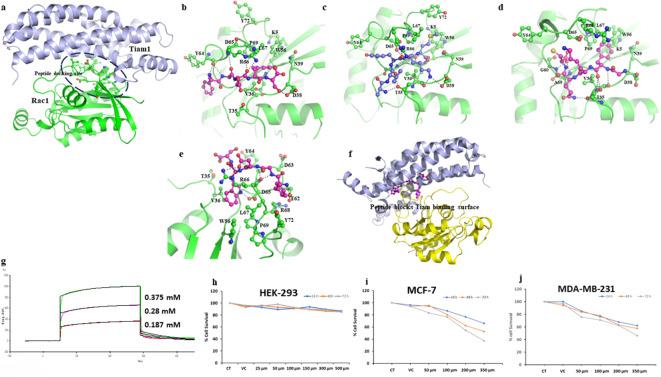 https://cdn.ncbi.nlm.nih.gov/pmc/blobs/d62f/11500341/de7b5d750965/41598_2024_75351_Fig3_HTML.jpg