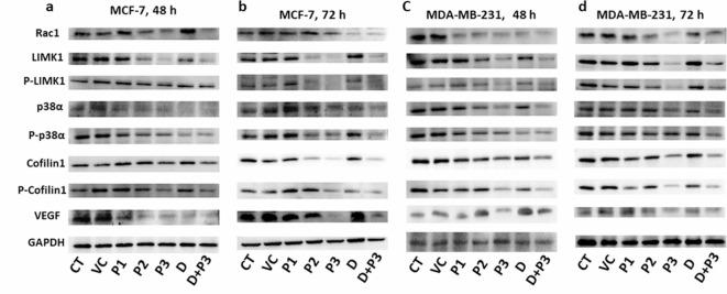 https://cdn.ncbi.nlm.nih.gov/pmc/blobs/d62f/11500341/e69aeda09899/41598_2024_75351_Fig2_HTML.jpg