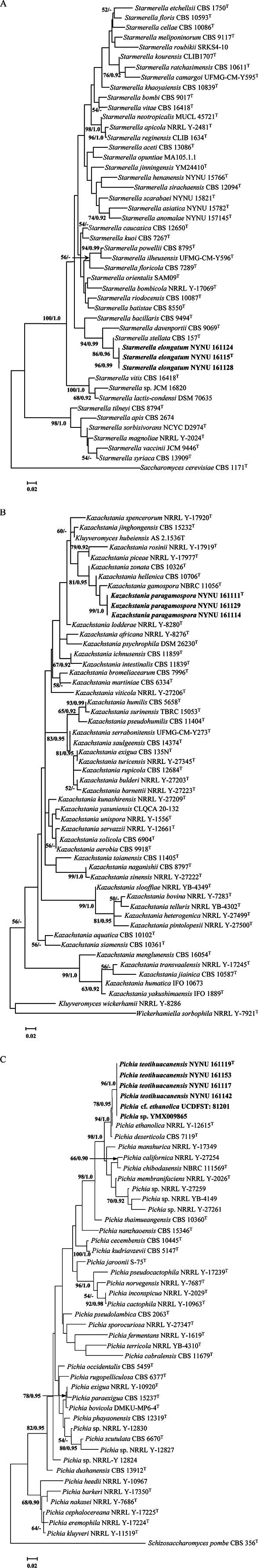 https://cdn.ncbi.nlm.nih.gov/pmc/blobs/d630/11484639/51f18a95560f/mycokeys-109-187-g001.jpg