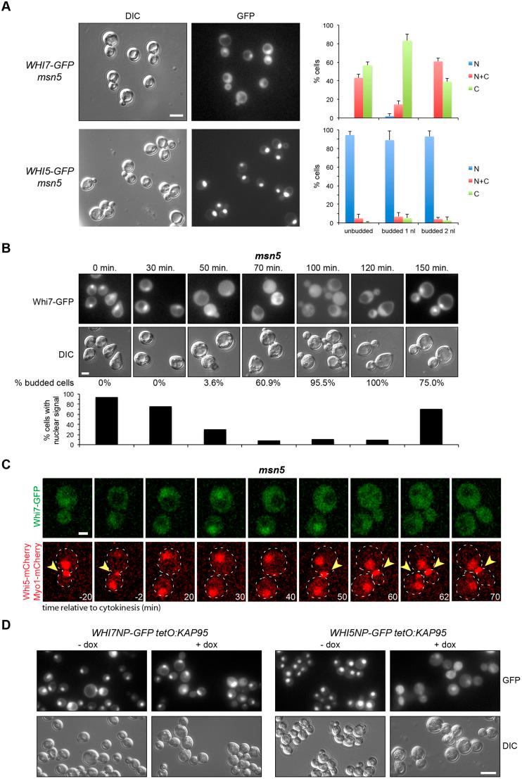 https://cdn.ncbi.nlm.nih.gov/pmc/blobs/d630/7774886/2f984b566b64/joces-133-251413-g5.jpg