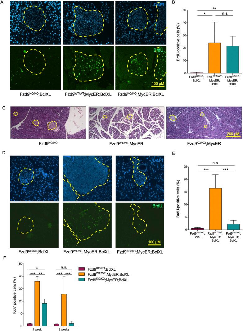 https://cdn.ncbi.nlm.nih.gov/pmc/blobs/d630/8008953/11a9792f2744/LSA-2019-00490_Fig2.jpg