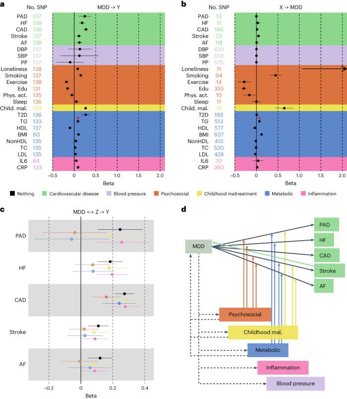 https://cdn.ncbi.nlm.nih.gov/pmc/blobs/d631/11182748/d66913ee5296/44161_2024_488_Fig6_HTML.jpg