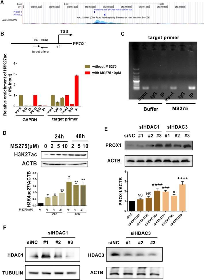 https://cdn.ncbi.nlm.nih.gov/pmc/blobs/d632/12219463/41557338d76e/FSB2-39-e70797-g003.jpg
