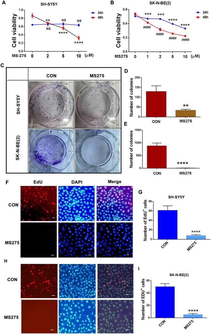 https://cdn.ncbi.nlm.nih.gov/pmc/blobs/d632/12219463/ff82dfe449b7/FSB2-39-e70797-g009.jpg