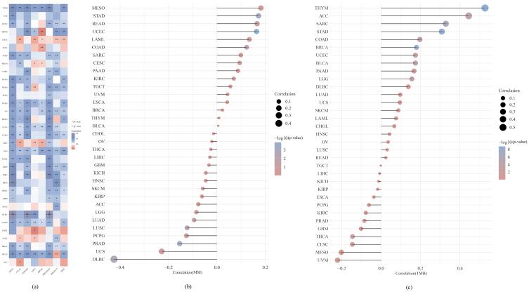 https://cdn.ncbi.nlm.nih.gov/pmc/blobs/d633/10669416/22a02d78c9d8/biomedicines-11-02884-g008.jpg