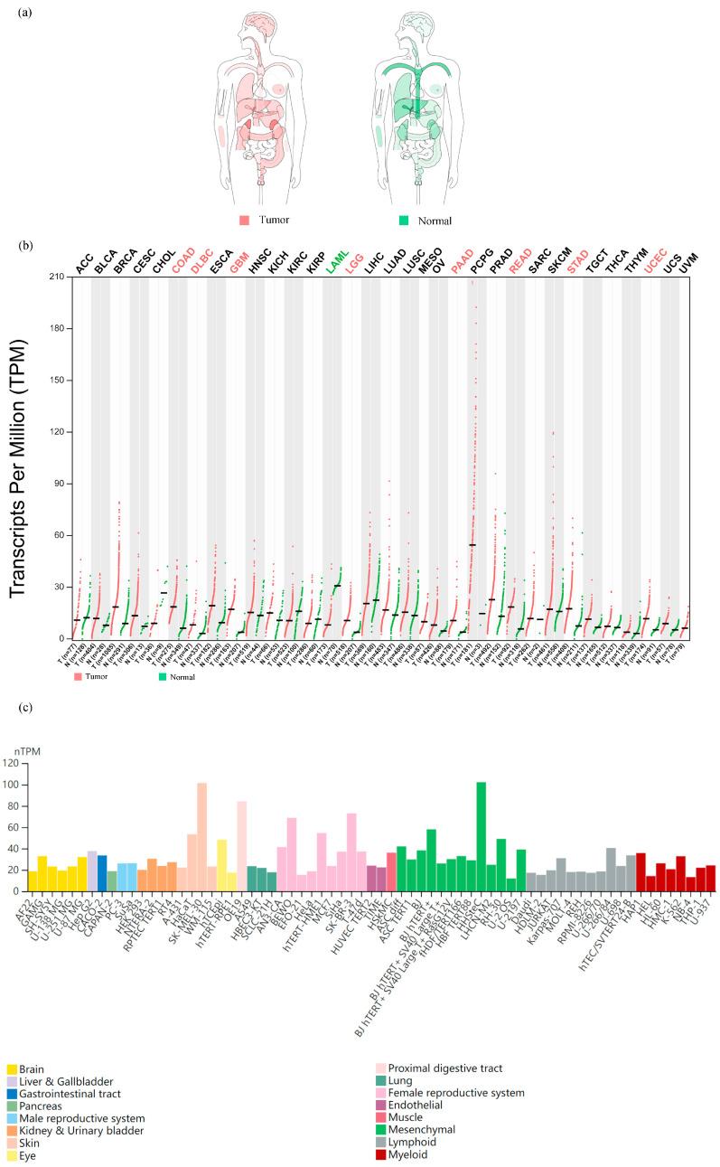 https://cdn.ncbi.nlm.nih.gov/pmc/blobs/d633/10669416/4ab8fc58b596/biomedicines-11-02884-g001.jpg