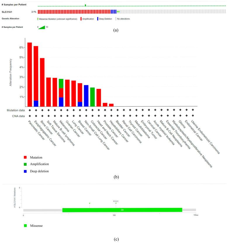 https://cdn.ncbi.nlm.nih.gov/pmc/blobs/d633/10669416/e0c2073c7c31/biomedicines-11-02884-g005.jpg