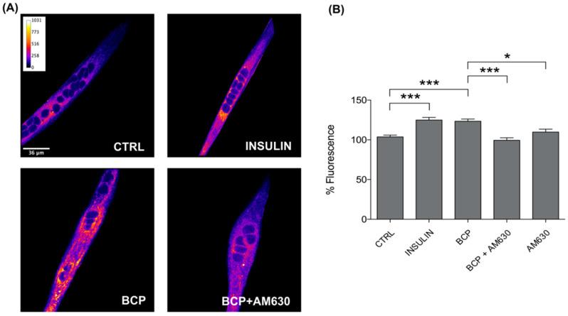https://cdn.ncbi.nlm.nih.gov/pmc/blobs/d637/7999495/3c9b8fad1239/nutrients-13-00916-g002.jpg