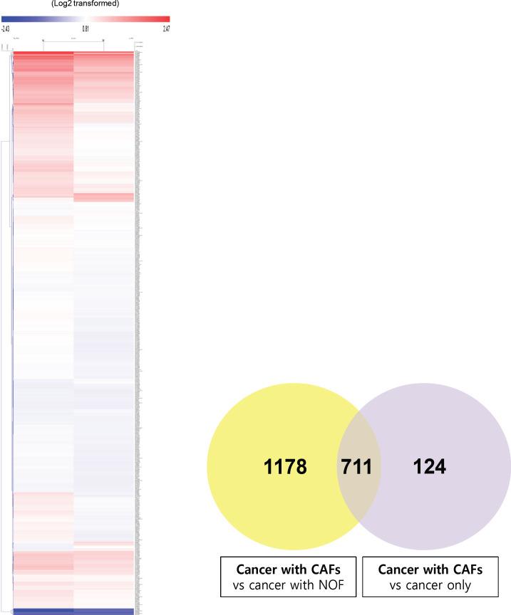 https://cdn.ncbi.nlm.nih.gov/pmc/blobs/d639/9971477/f952ddba79bf/APJCP-23-4315-g001.jpg