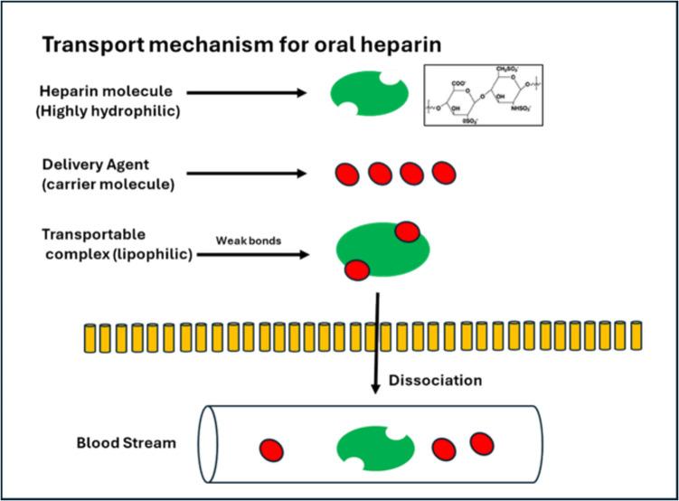 https://cdn.ncbi.nlm.nih.gov/pmc/blobs/d63b/12162448/4b8a798069ce/44446_2025_22_Fig2_HTML.jpg