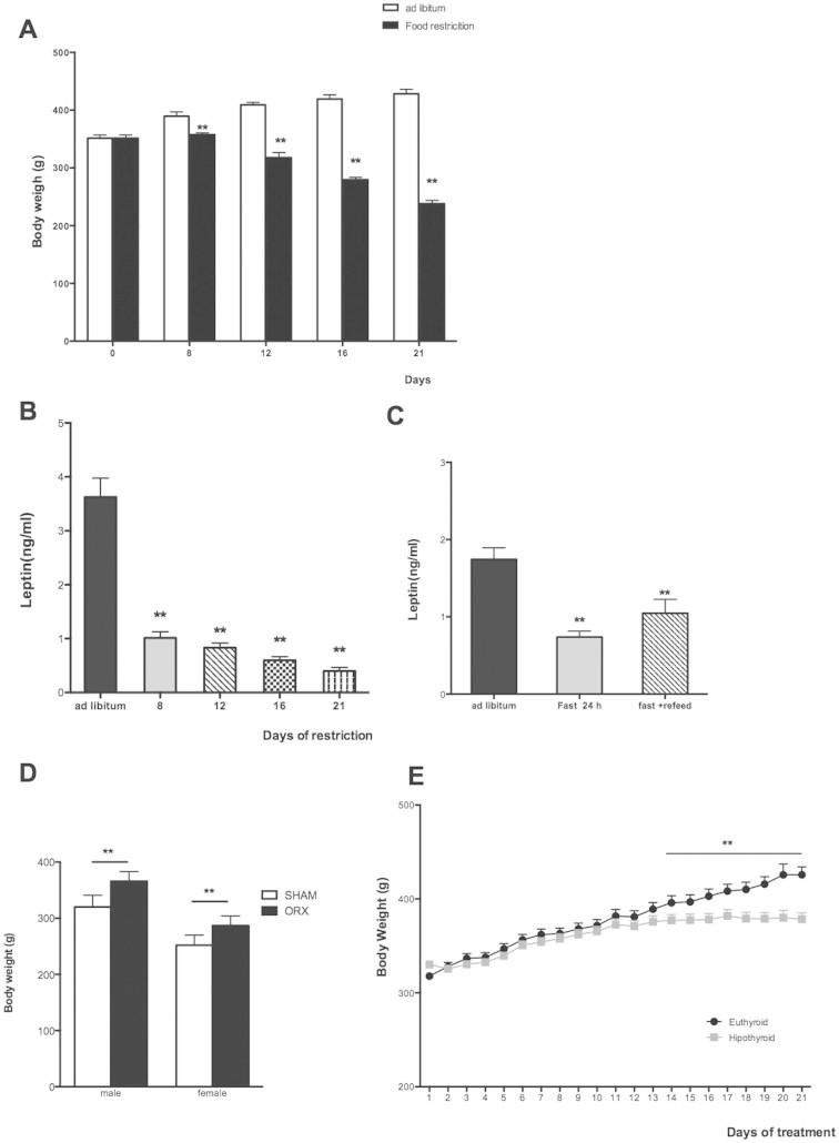 https://cdn.ncbi.nlm.nih.gov/pmc/blobs/d63e/3939456/0543f9263ba2/srep04264-f2.jpg
