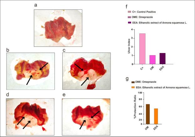 https://cdn.ncbi.nlm.nih.gov/pmc/blobs/d642/11974273/65c947cc9dba/OpenVetJ-15-795-g001.jpg