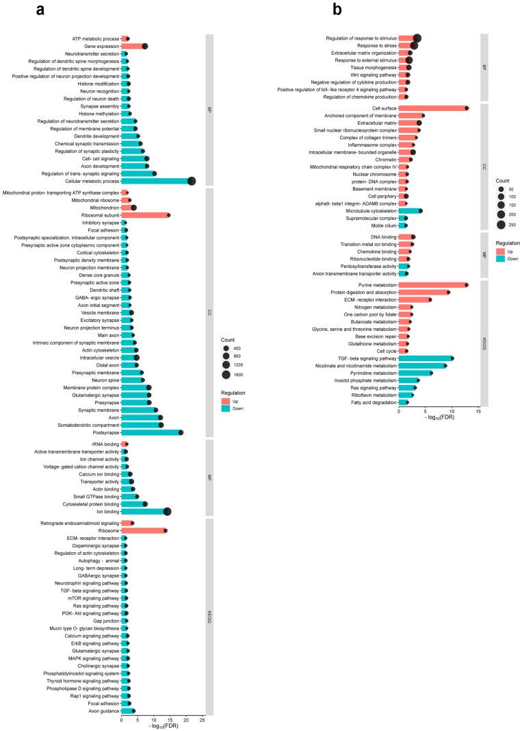 https://cdn.ncbi.nlm.nih.gov/pmc/blobs/d642/12027419/983c506e35e4/ijms-26-03538-g003.jpg