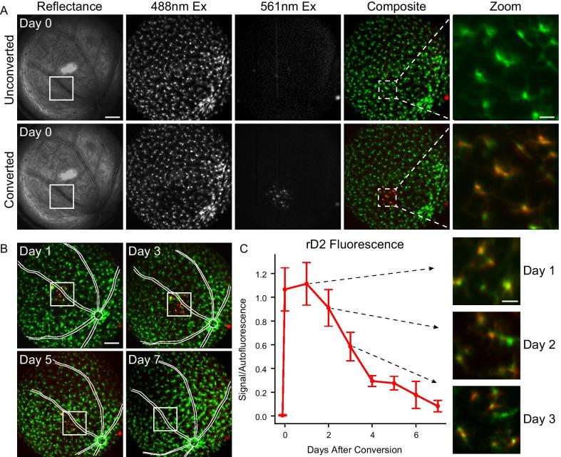 https://cdn.ncbi.nlm.nih.gov/pmc/blobs/d644/8520240/4e882d8cf49f/12974_2021_2285_Fig2_HTML.jpg
