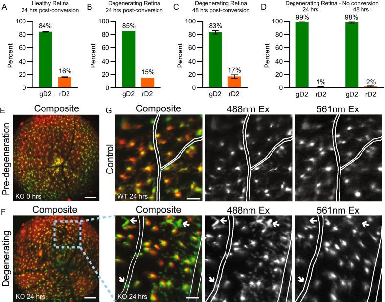 https://cdn.ncbi.nlm.nih.gov/pmc/blobs/d644/8520240/5cb86296b84f/12974_2021_2285_Fig4_HTML.jpg
