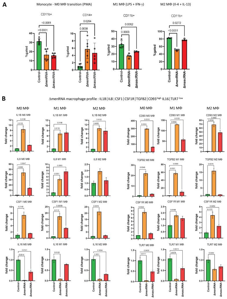 https://cdn.ncbi.nlm.nih.gov/pmc/blobs/d645/9777231/76a73d0b7944/cells-11-03970-g009a.jpg