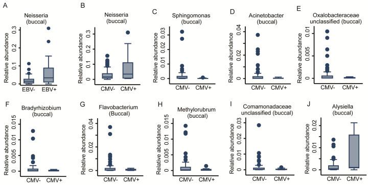 https://cdn.ncbi.nlm.nih.gov/pmc/blobs/d647/8657988/045532595210/ijms-22-12682-g006.jpg