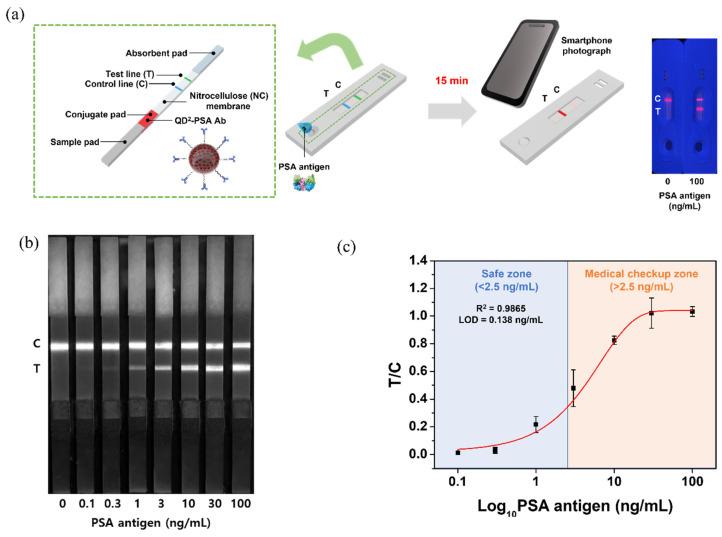 https://cdn.ncbi.nlm.nih.gov/pmc/blobs/d648/8746978/1b22e163af96/nanomaterials-12-00033-g002.jpg