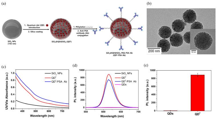 https://cdn.ncbi.nlm.nih.gov/pmc/blobs/d648/8746978/84060d6315f9/nanomaterials-12-00033-g001.jpg