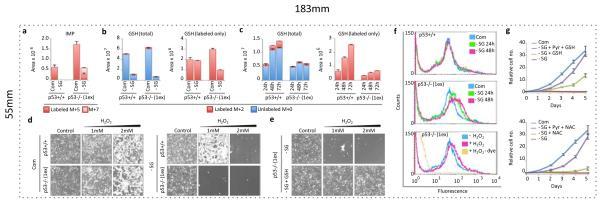 https://cdn.ncbi.nlm.nih.gov/pmc/blobs/d649/6485472/09e4b59f833b/emss-50351-f0004.jpg