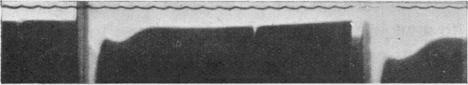 https://cdn.ncbi.nlm.nih.gov/pmc/blobs/d64a/1395260/089b4a025fc3/jphysiol01576-0032-a.jpg