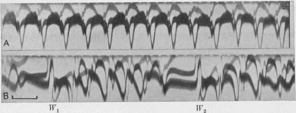 https://cdn.ncbi.nlm.nih.gov/pmc/blobs/d64a/1395260/65b06e518ca4/jphysiol01576-0046-b.jpg