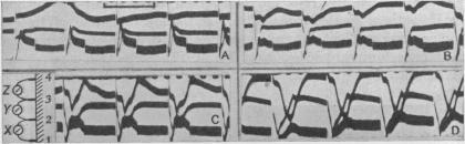 https://cdn.ncbi.nlm.nih.gov/pmc/blobs/d64a/1395260/96bfc1cdf487/jphysiol01576-0038-a.jpg