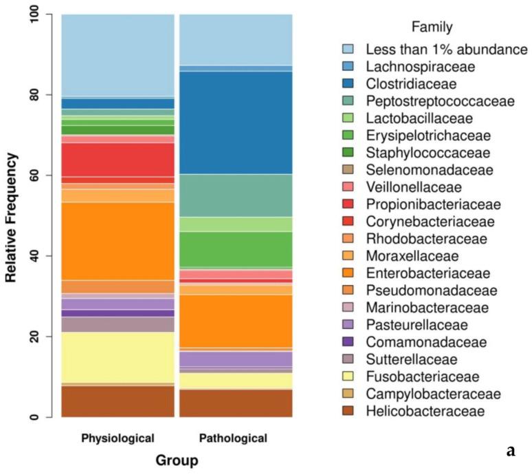 https://cdn.ncbi.nlm.nih.gov/pmc/blobs/d64b/11123939/158c496c14c2/microorganisms-12-00981-g002a.jpg
