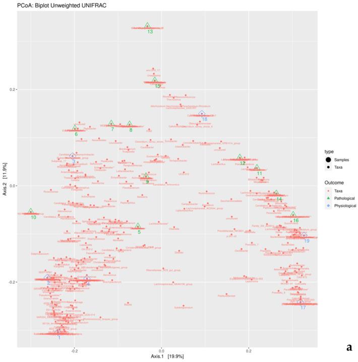 https://cdn.ncbi.nlm.nih.gov/pmc/blobs/d64b/11123939/54ffaee32121/microorganisms-12-00981-g004a.jpg
