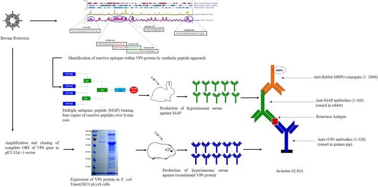 https://cdn.ncbi.nlm.nih.gov/pmc/blobs/d64c/4938596/a5467fb491c9/pone.0159027.g001.jpg