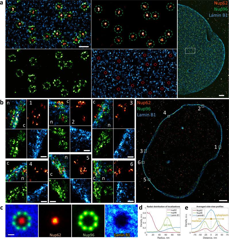https://cdn.ncbi.nlm.nih.gov/pmc/blobs/d64d/9576791/289e8b36dc1c/42003_2022_4040_Fig4_HTML.jpg