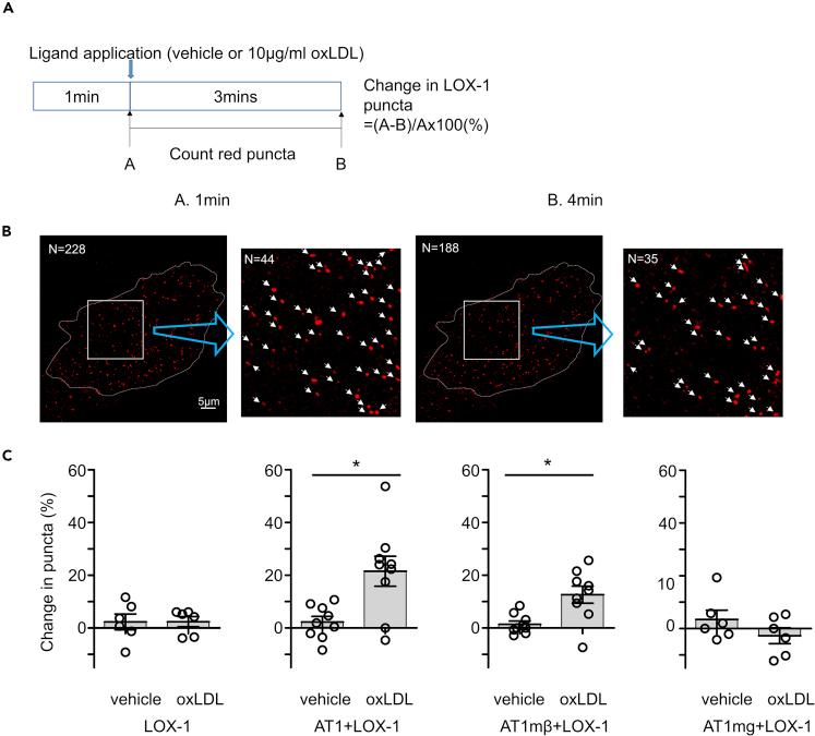 https://cdn.ncbi.nlm.nih.gov/pmc/blobs/d64e/7890409/2a7b062092a9/gr4.jpg