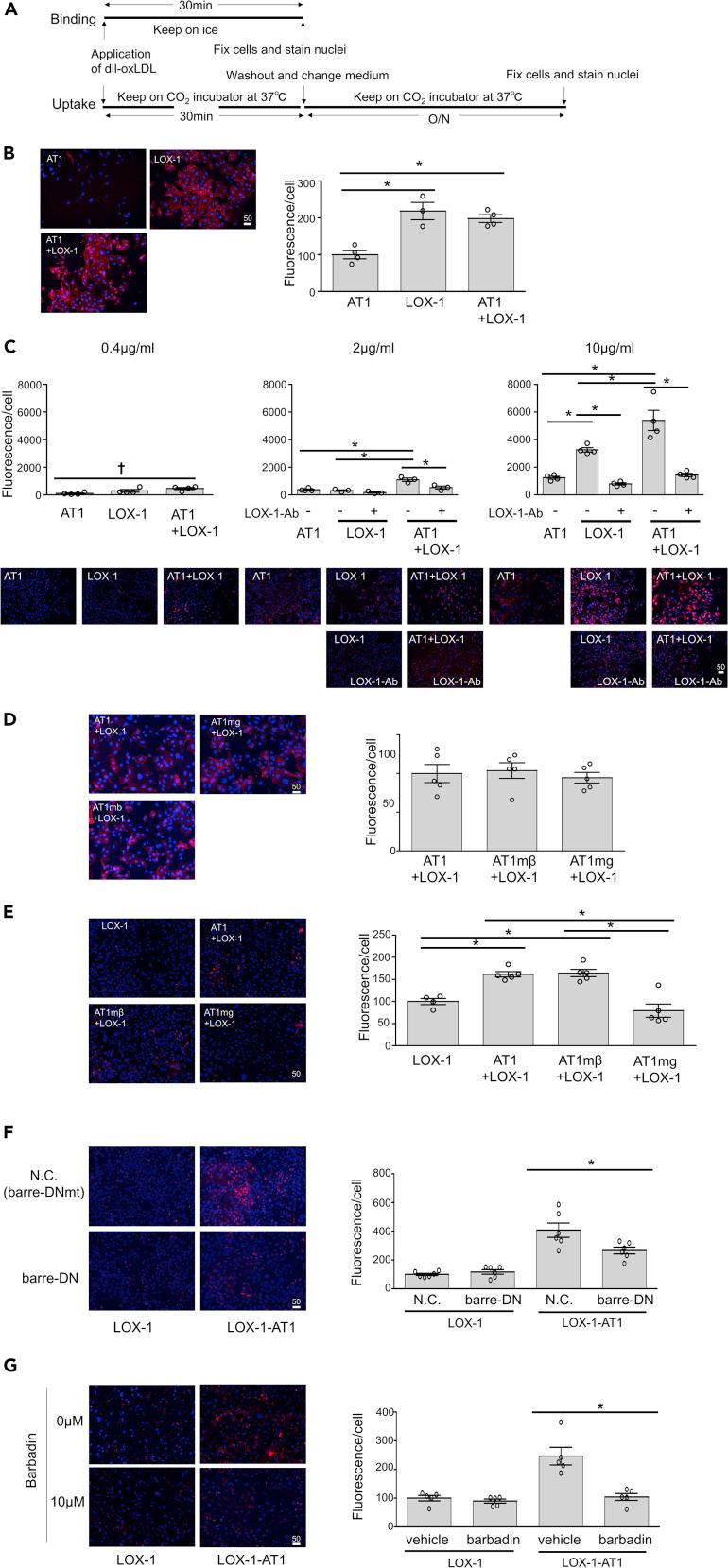 https://cdn.ncbi.nlm.nih.gov/pmc/blobs/d64e/7890409/2fb106b4e9d3/gr5.jpg