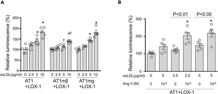 https://cdn.ncbi.nlm.nih.gov/pmc/blobs/d64e/7890409/3c1d8fee63d2/gr3.jpg