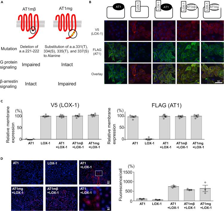 https://cdn.ncbi.nlm.nih.gov/pmc/blobs/d64e/7890409/6e5e6c08c6b5/gr1.jpg