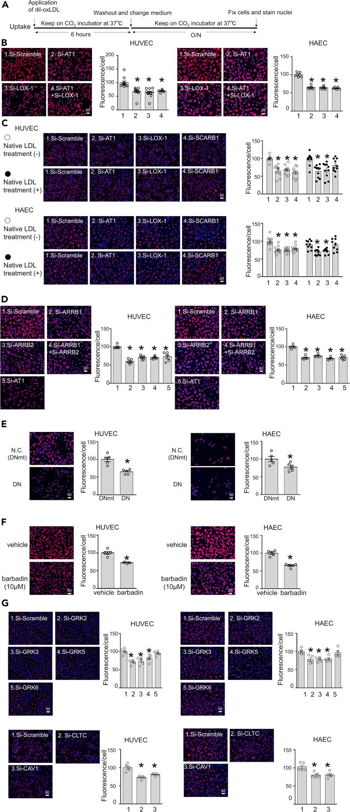 https://cdn.ncbi.nlm.nih.gov/pmc/blobs/d64e/7890409/c18ff51b2f1b/gr6.jpg