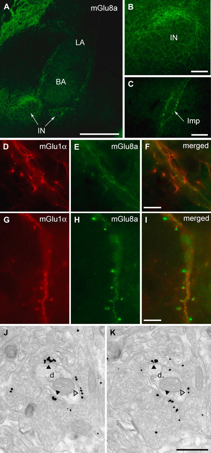 https://cdn.ncbi.nlm.nih.gov/pmc/blobs/d64f/3557389/de392451fc50/gr4.jpg